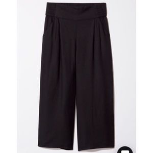 Aritzia Sullivan Pants